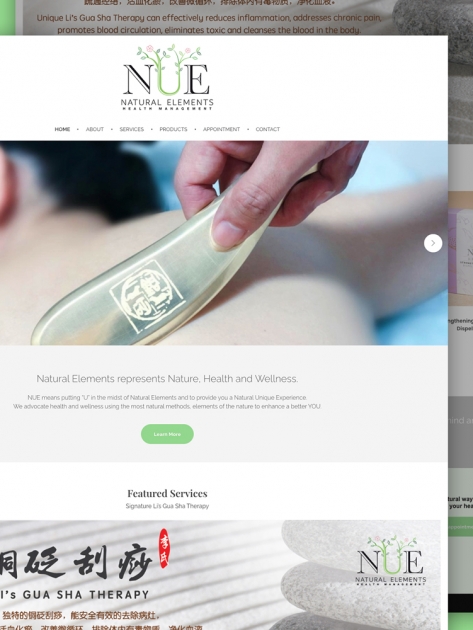 NUEHealth_website